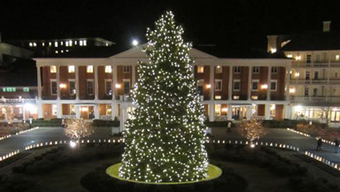 Christmas Tree Lighting