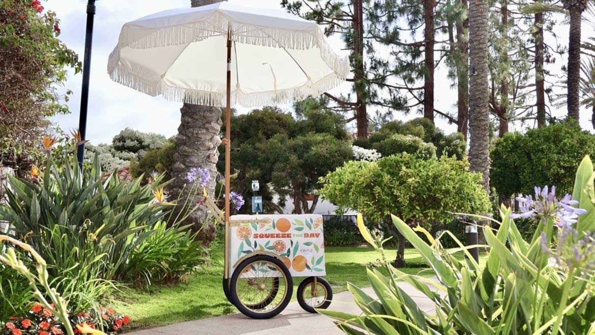 paleta cart