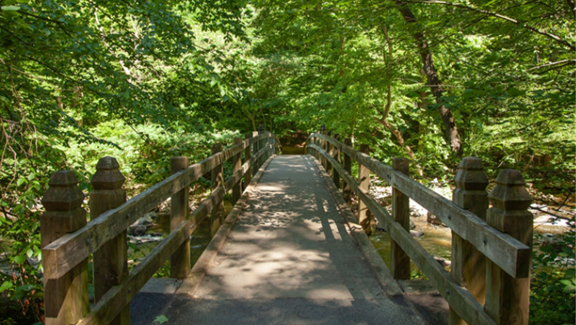 rock creek